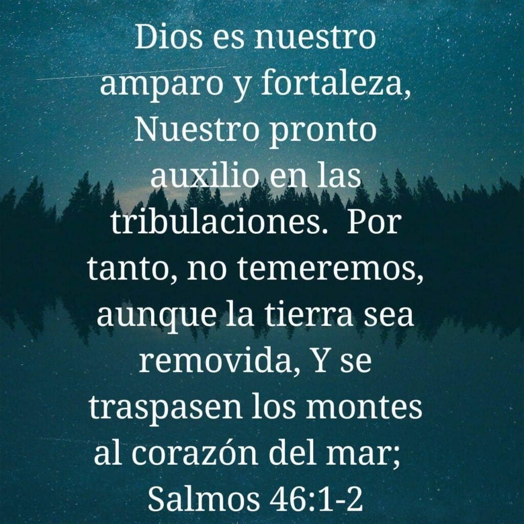 Salmos Para Momentos De Angustia Calma Tu Mente Oraciones Diarias