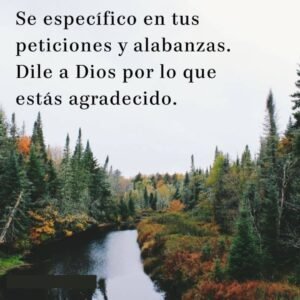 Oracion de gratitud