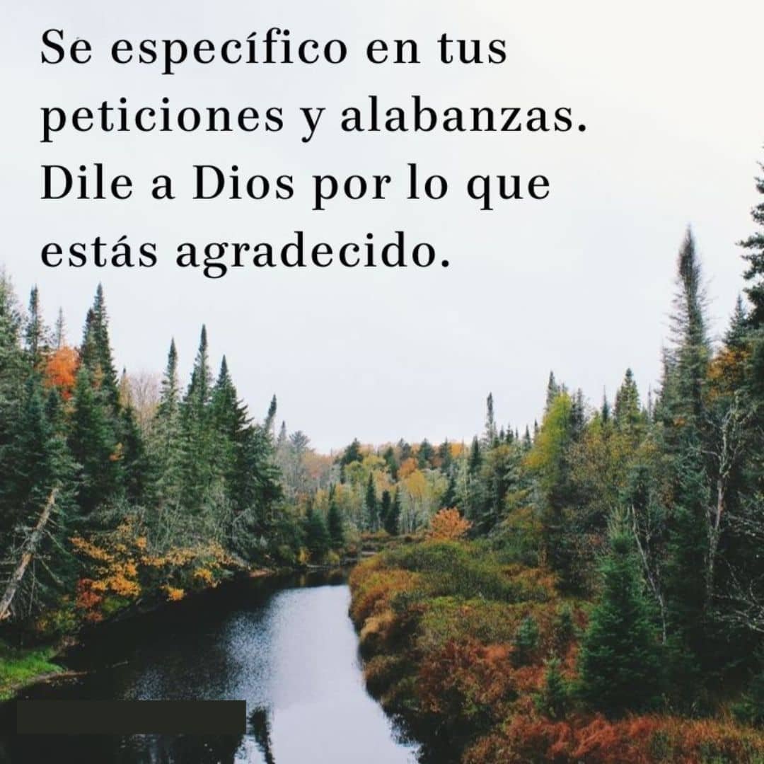 Oracion De Gratitud