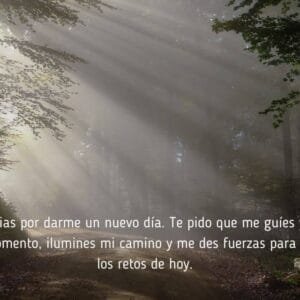 bosque con la primera luz de la mañana