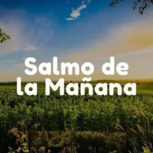 Versículos para empezar el día