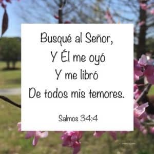 Salmos para calmar la ansiedad