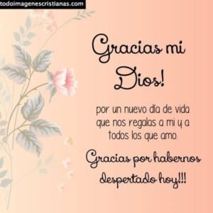 gracias-al-señor
