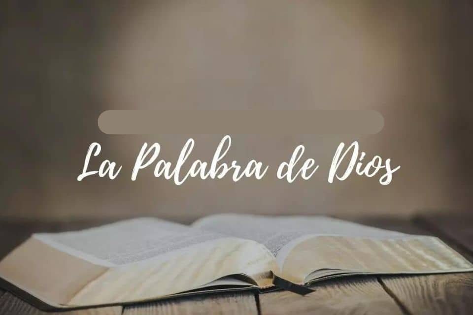 libro  de la biblia en una mesa