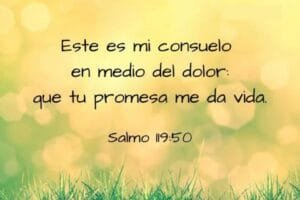 Salmos para Leer en Momentos Difíciles y de Angustia ⋆ La Oración Diaria