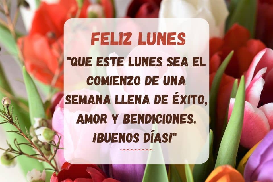 feliz lunes  buenos dias bendiciones