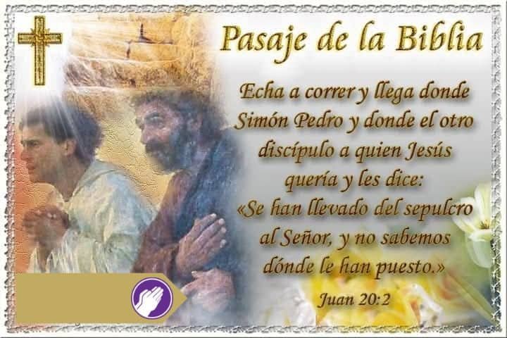 pasaje de la biblia hoy 31 de enero