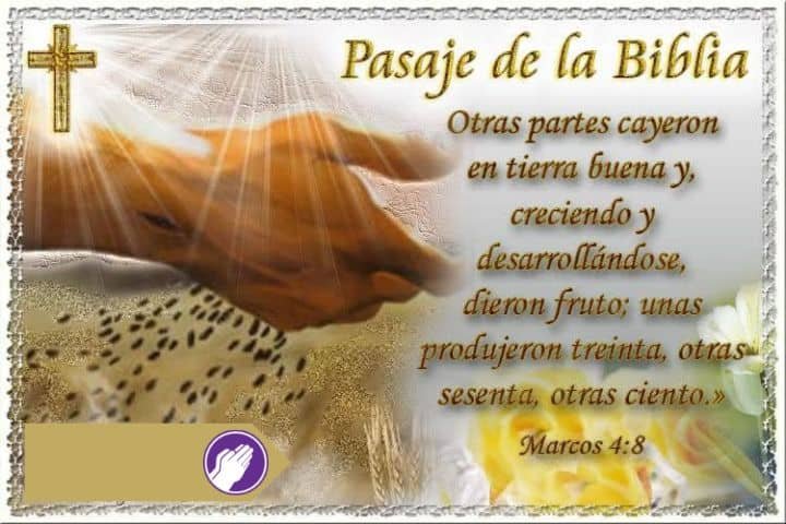 pasaje de la biblia marcos 4-8