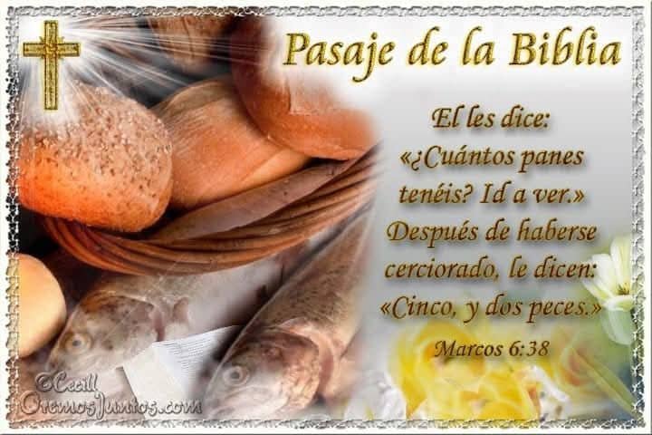 pasajes de la biblia del dia de hoy marcos 6-38