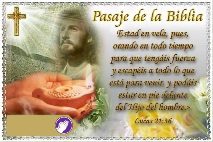 pasajes de la biblia hoy 11 de febrero lucas 21-36
