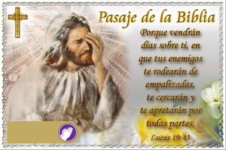 salmos lucas 19-43 hoy 13 de febrero