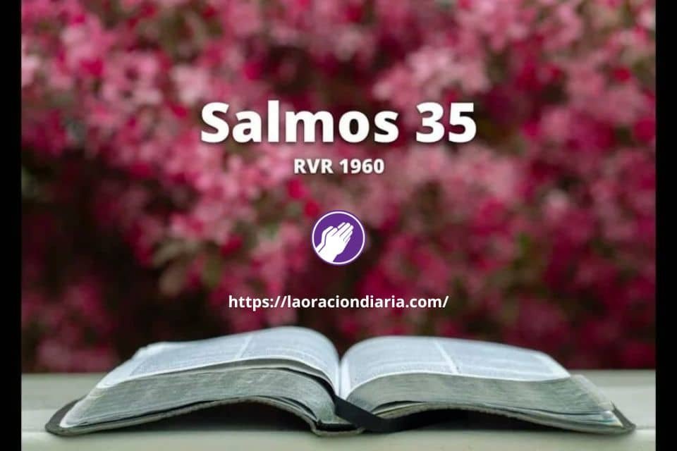 Salmo 35 reina valera para proteccion contra enemigos