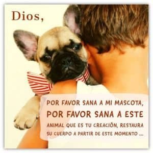 oración para animales enfermos