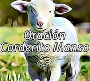 Reza la poderosa oración del Corderito Manso original