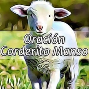 Reza la poderosa oración del Corderito Manso original