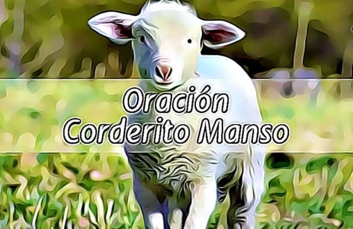 Oración del Corderito Manso: Para Amor, Dominio y Protección